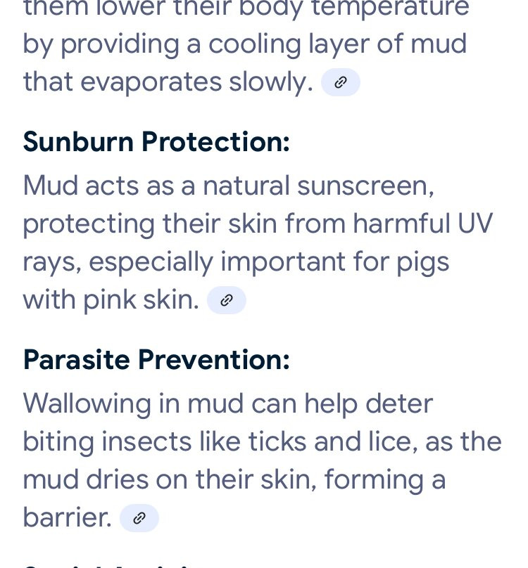 Lotmead Farm-斯温顿必去景点