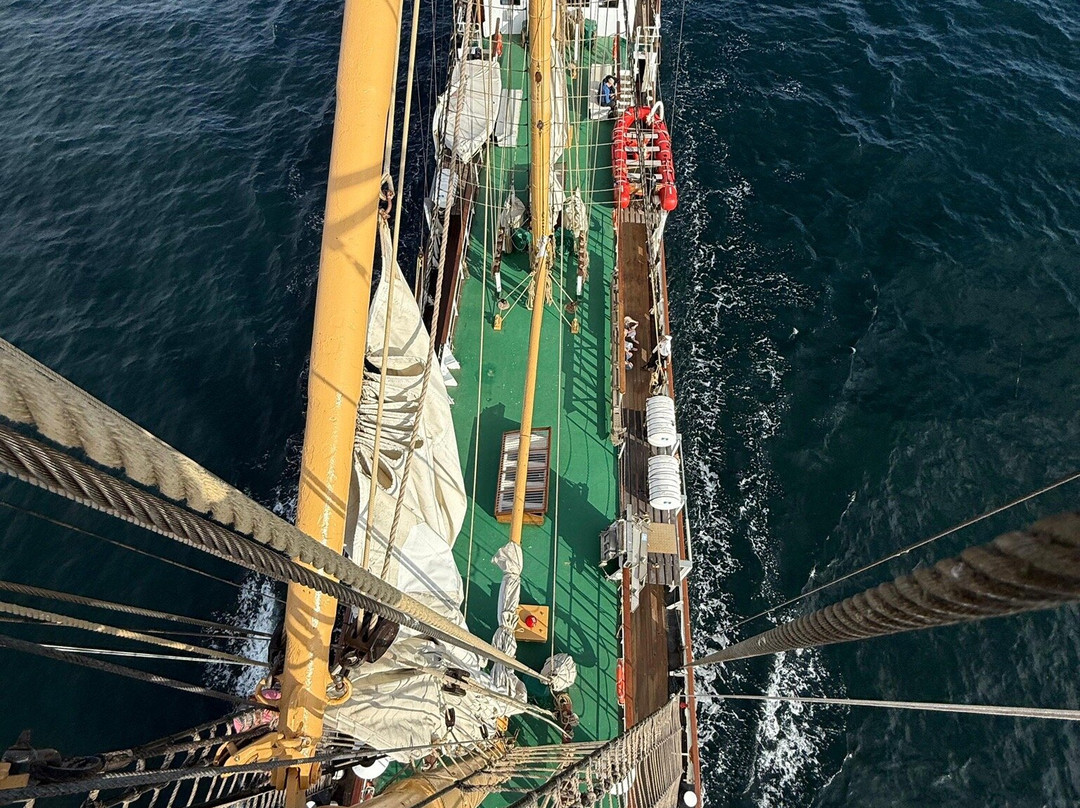 Segelschulschiff Grossherzogin Elisabeth-Elsfleth必去景点