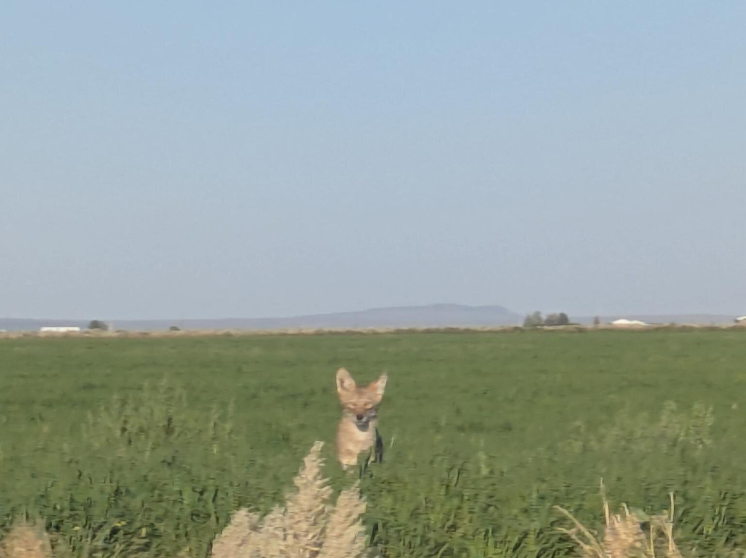 Crack in the Ground-Christmas Valley必去景点