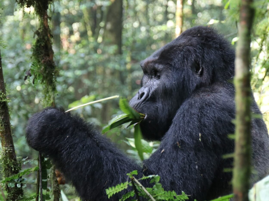 My Trip 2 Africa-Mbarara必去景点