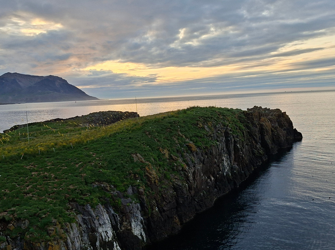 Borgarfjaroarhofn-Borgarfjordur Eystri必去景点
