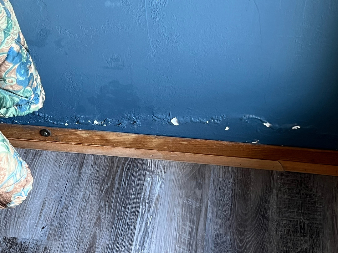 Algoma Beach Motel主图