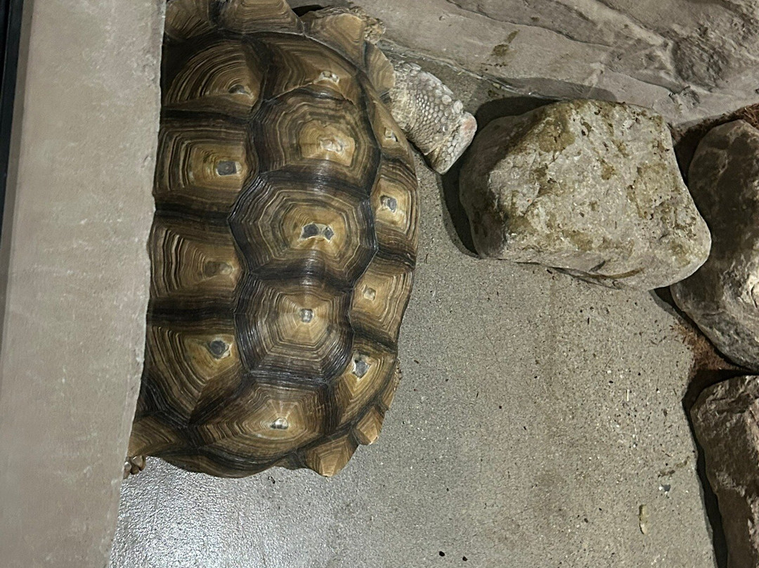 Legasea Aquarium & The Reptarium-Utica必去景点