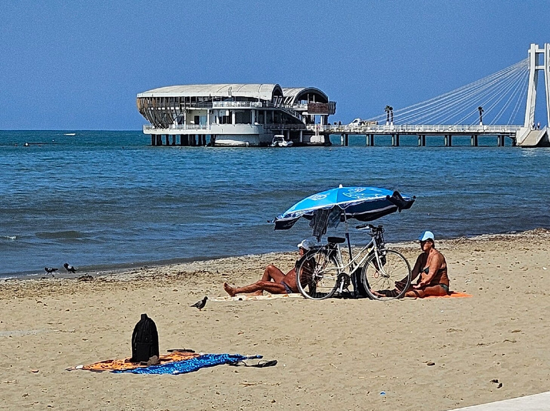 Promenade Park (Shëtitorja "Vollga")-杜勒斯必去景点