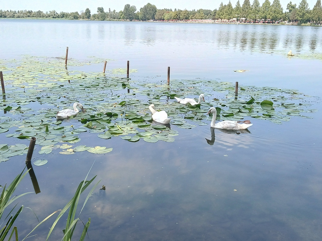 Ciclabile Mantova Peschiera-Volta Mantovana必去景点
