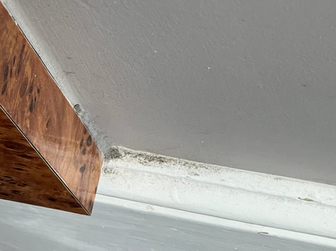 巷子区-布莱顿必去景点