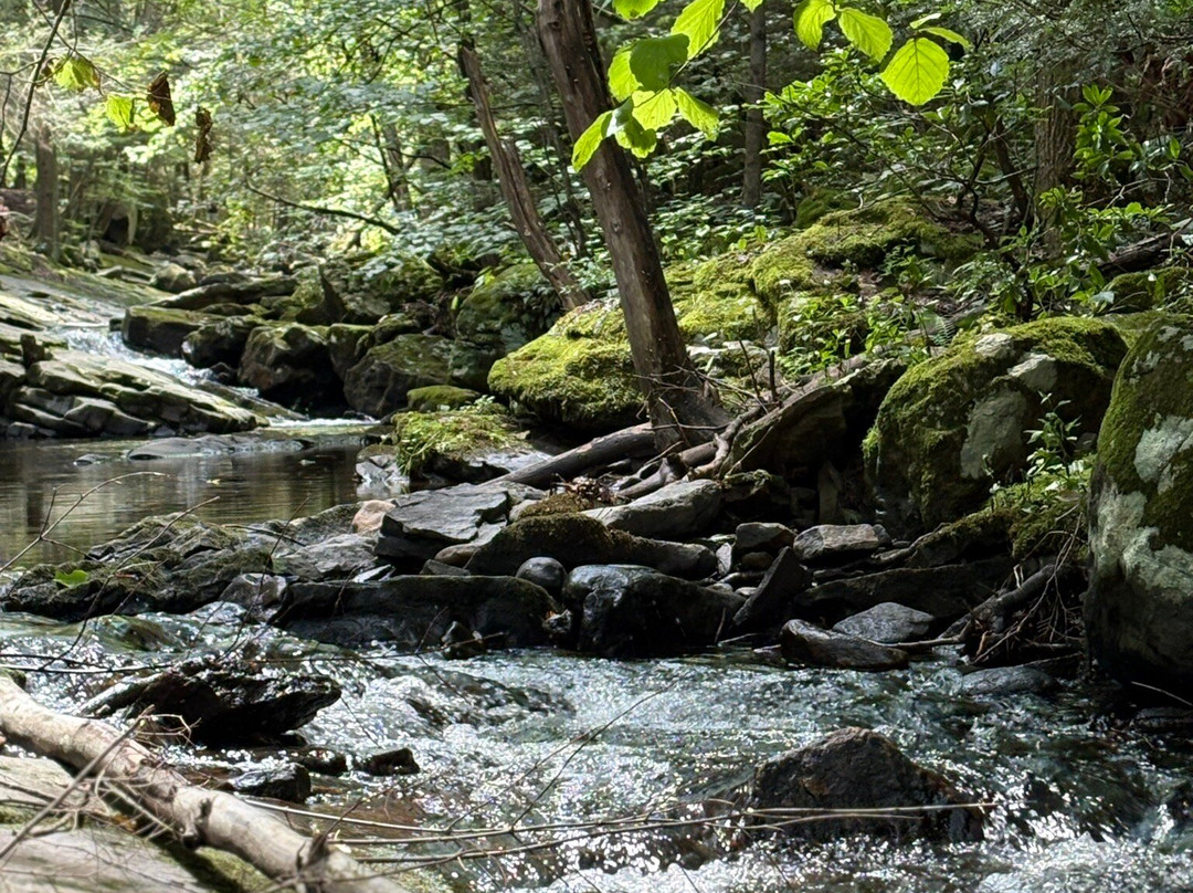 Seven Tubs Recreation Area-威尔克斯-巴里必去景点