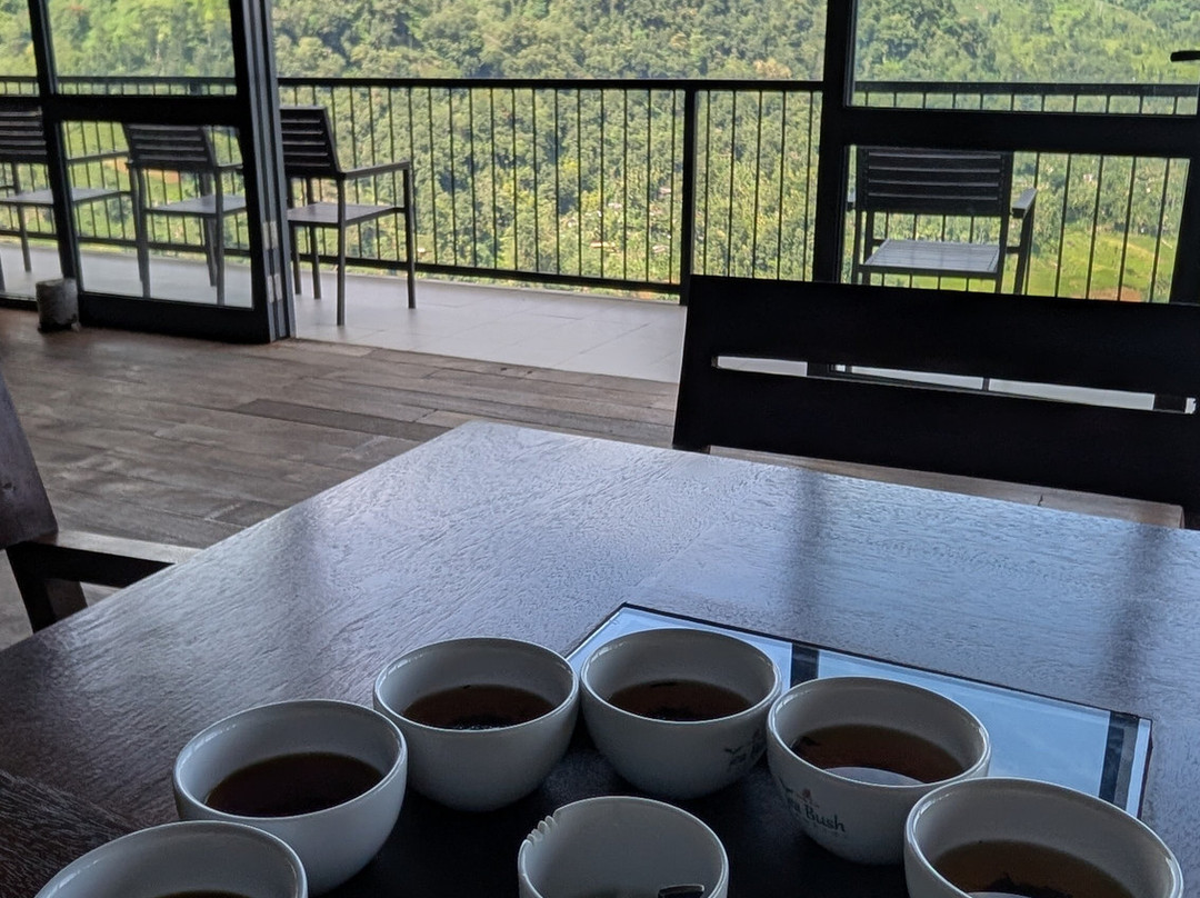 DJ-Divan-奴娃拉伊利雅必去景点