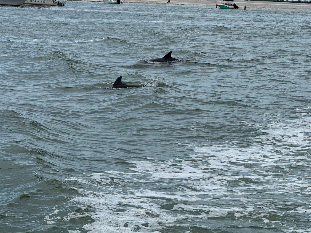Spongeorama Sponge Factory-塔彭斯普林斯必去景点