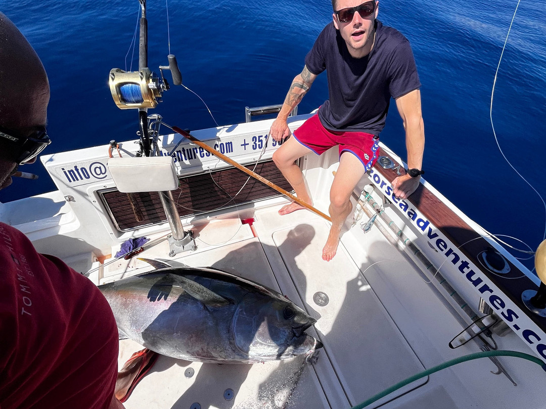 AzorSea Adventures-Vila Franca do Campo必去景点