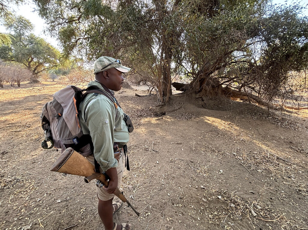 Jekwe Tours & Safaris-卡里巴必去景点