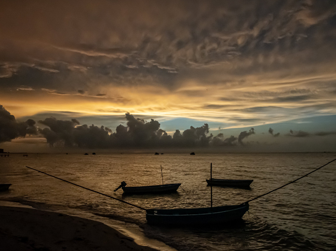 Terminal De Cruceros De Progreso-Progreso必去景点
