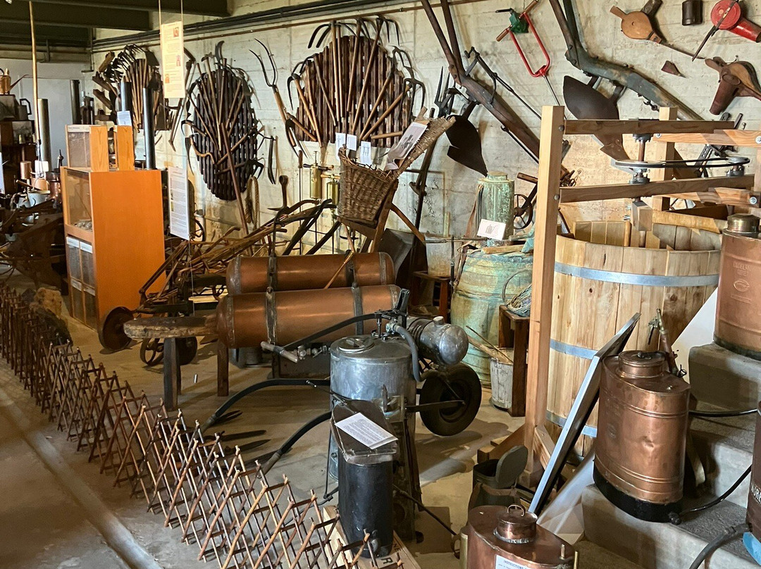 Auberge Les Hauts De Chenas主图