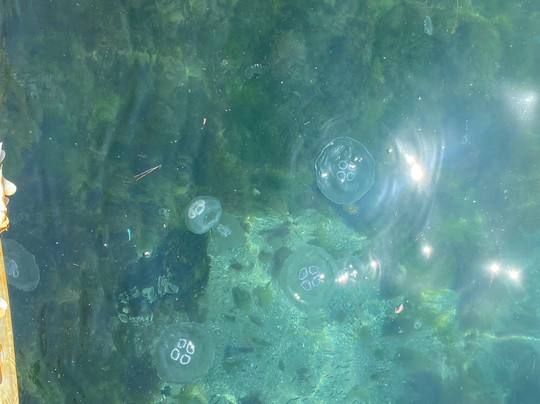 Viranbag Plaji-布尤卡达必去景点