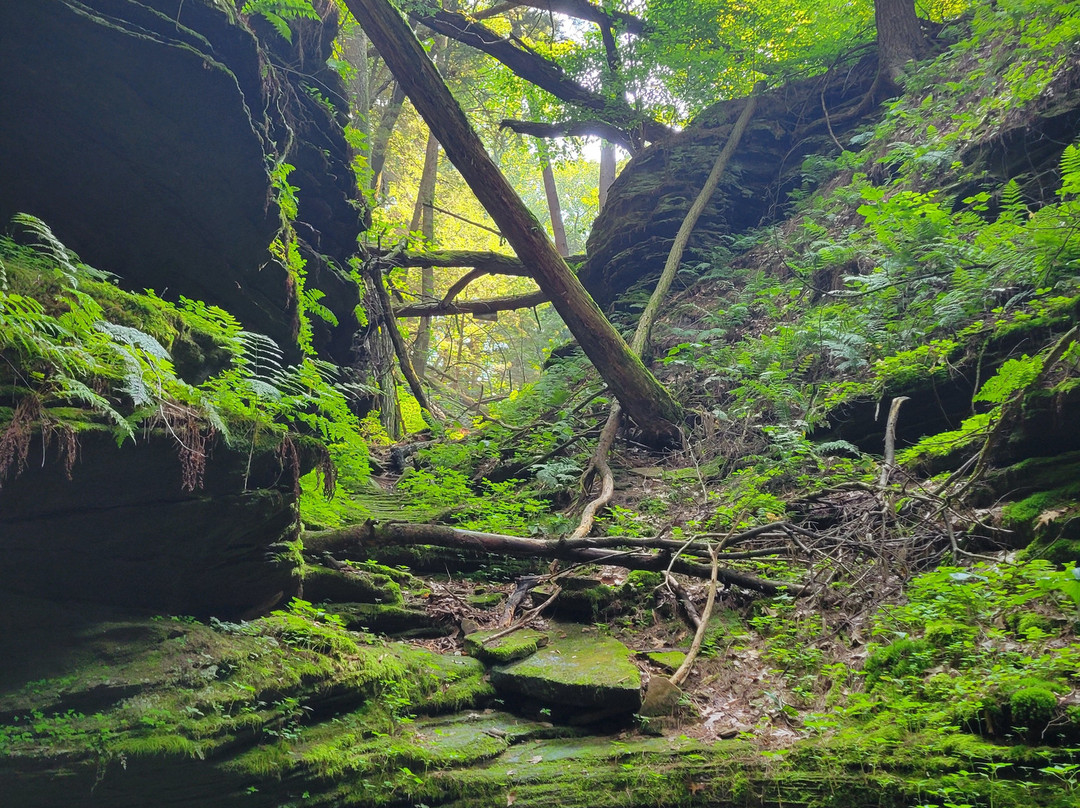 Witches Gulch-威斯康星峡谷必去景点