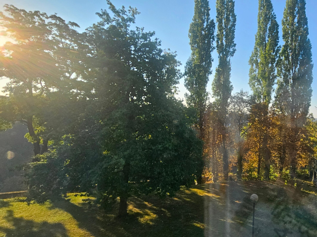 卢森堡高瑞斯集团主图