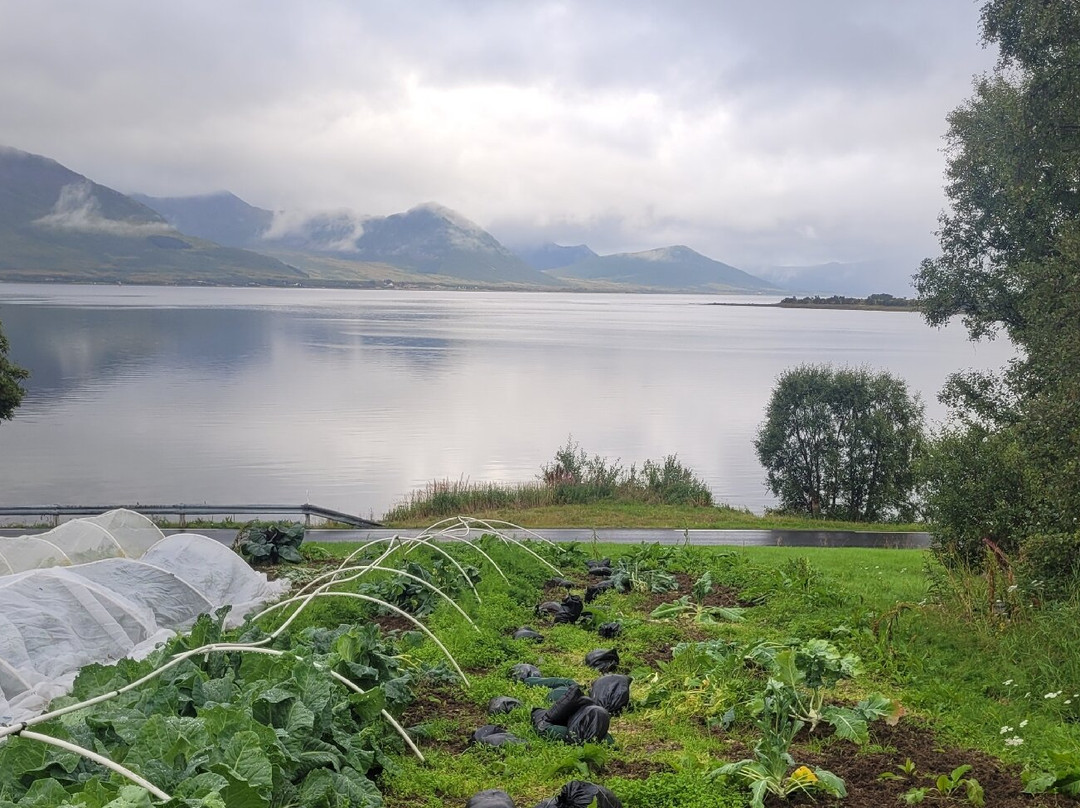 Andøy Friluftssenter主图