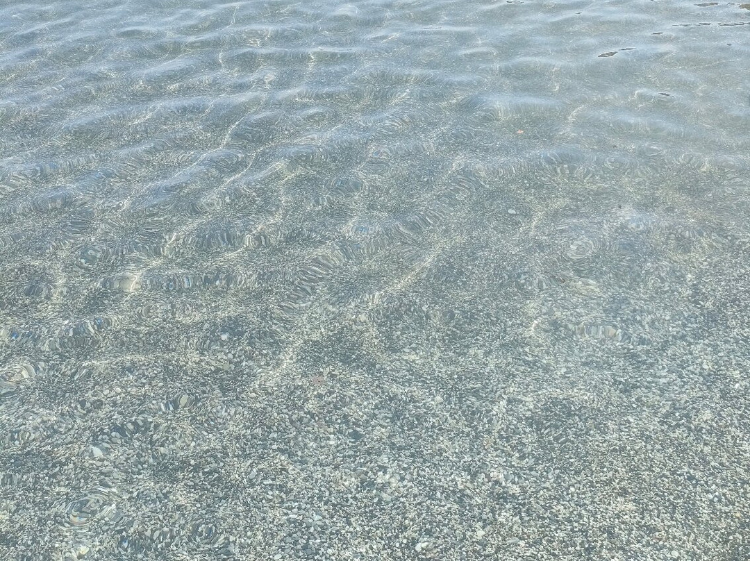 Grande Blue-Stegna必去景点