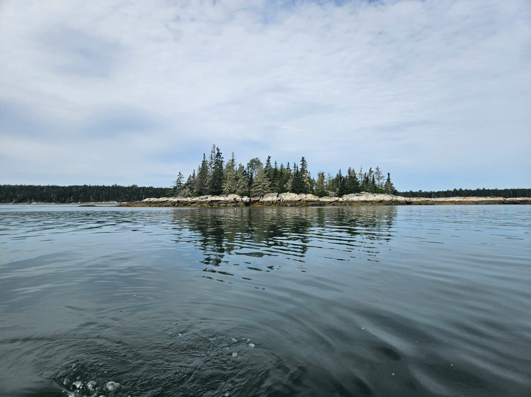 Maine Kayak-New Harbor必去景点