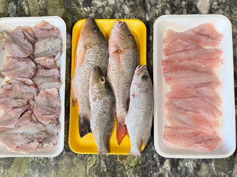 LandBoat Charters-基韦斯特必去景点