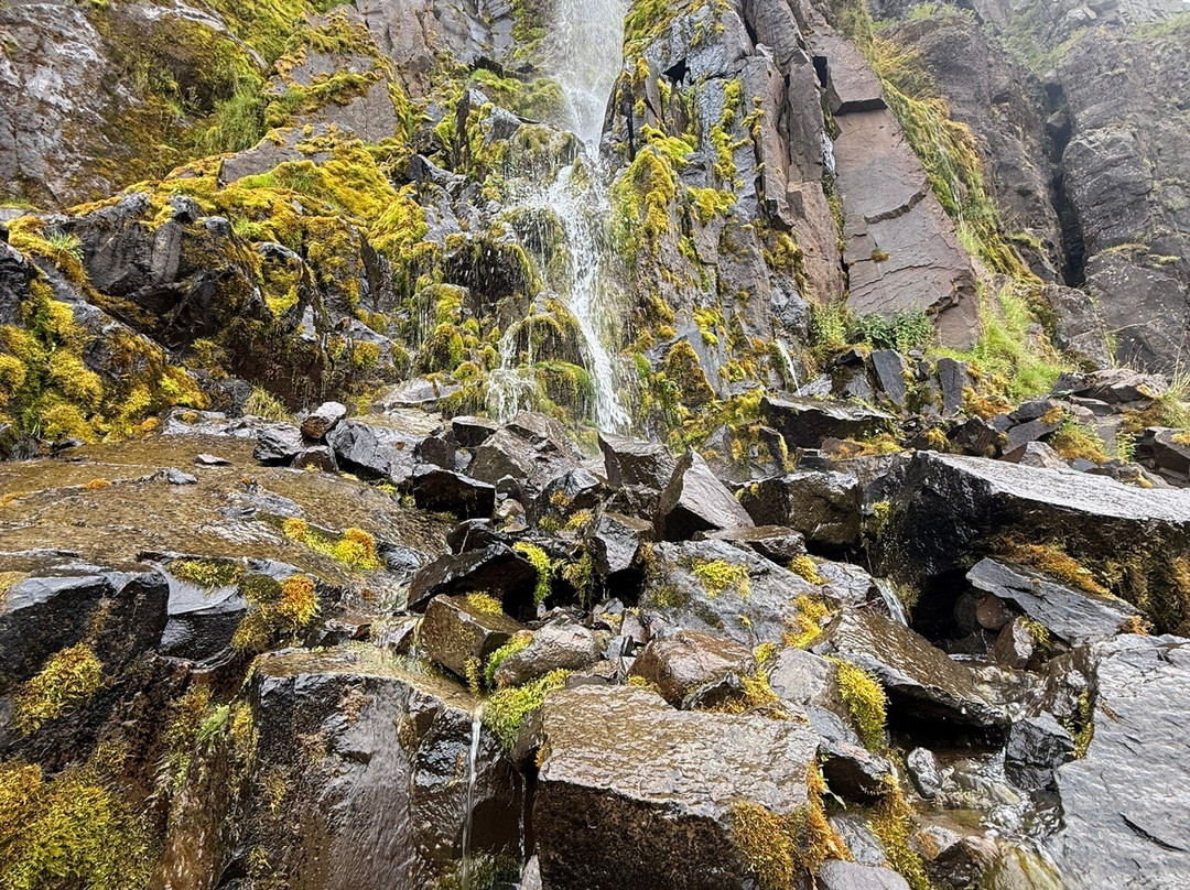Eastfjords Adventures-塞济斯菲厄泽必去景点