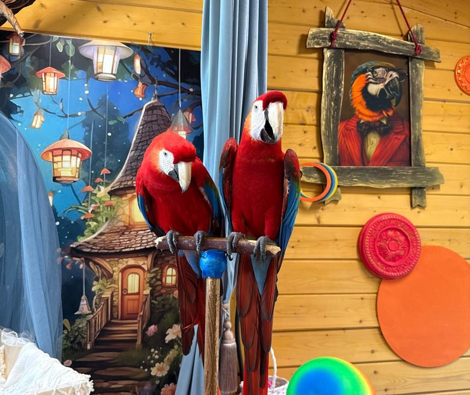 Razdolye Park-Razdory必去景点