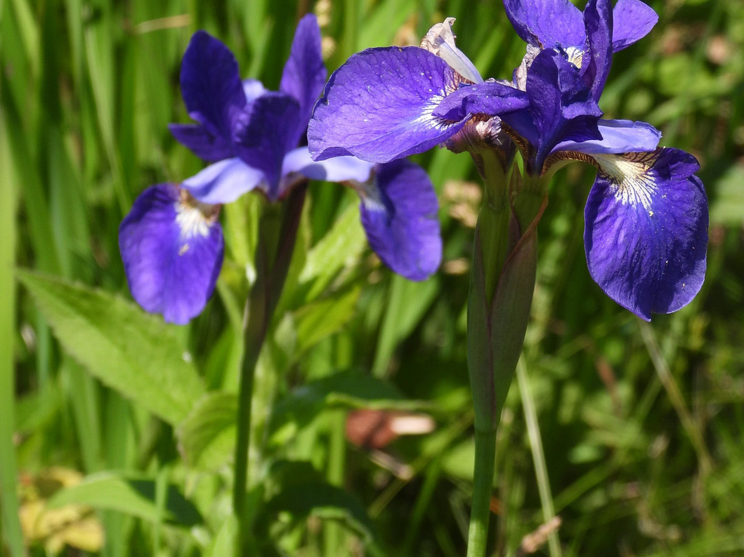 Frances Perkins Center-Newcastle必去景点