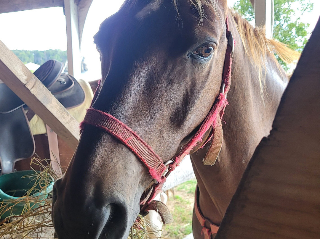 Le Domaine du Centaure-Gaspe必去景点