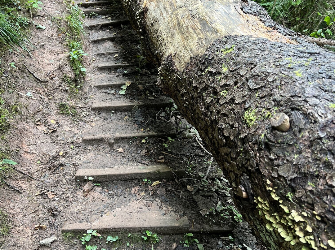 Gauja National Park-Vidzeme Region必去景点
