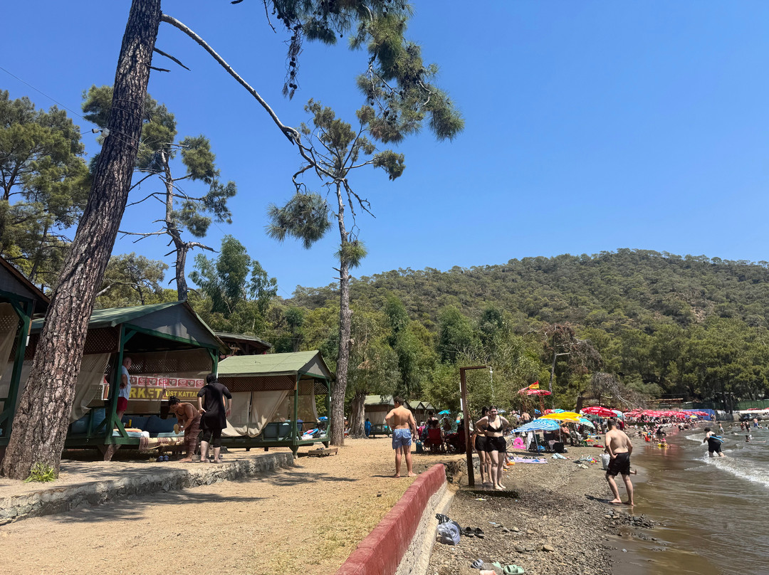 Katrancı Bay Nature Park-Yaniklar必去景点