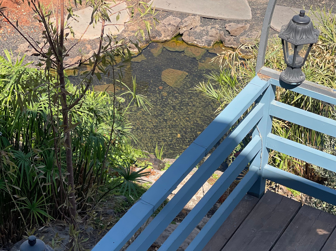 Bait Shaker-Al Salt必去景点