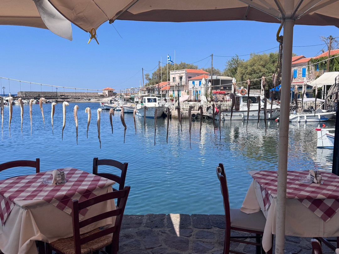 Sea Horse Hotel主图