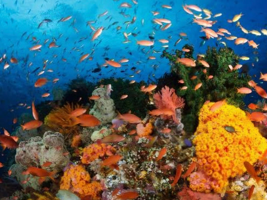 Nusa Penida Islands Tour-登巴萨必去景点