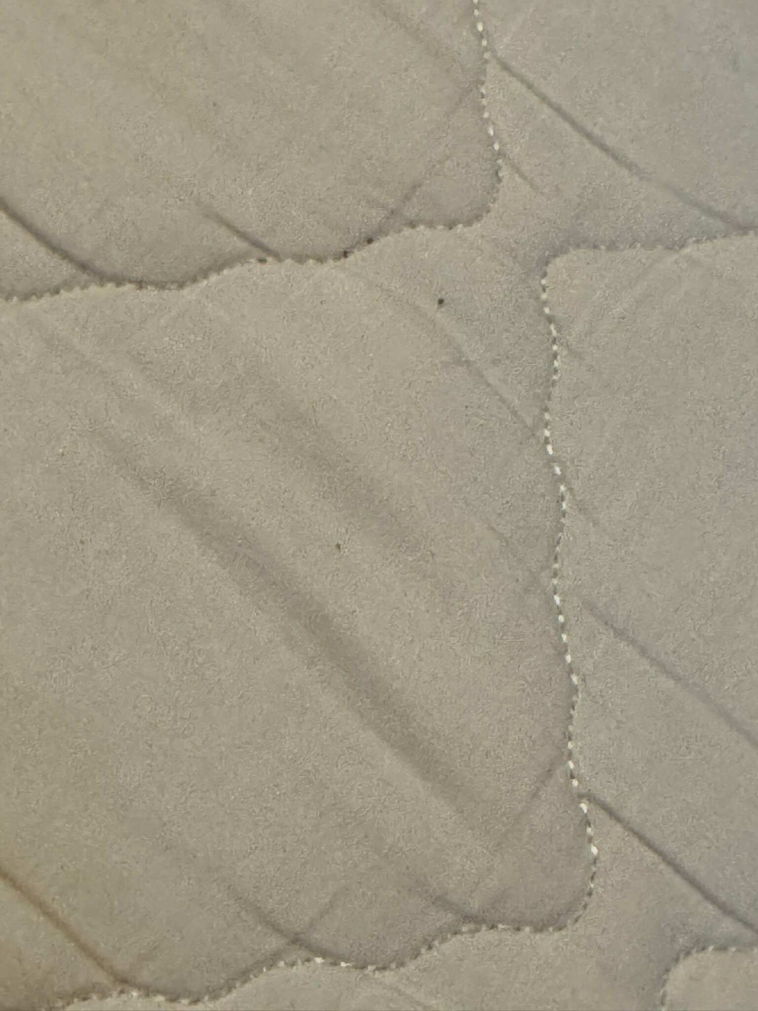 Apgar Village Lodge-官方