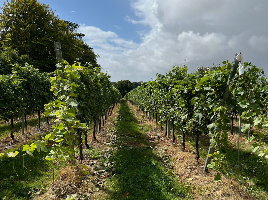 Bluestone Vineyards-索尔兹伯里必去景点