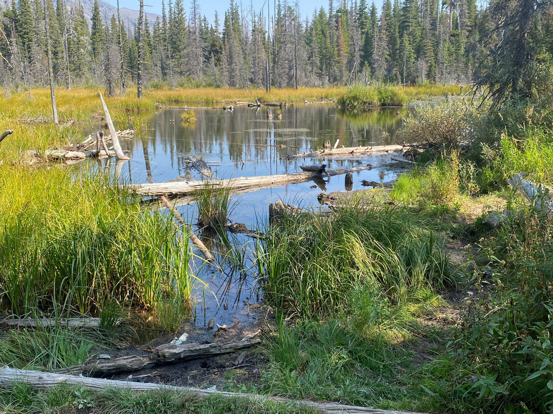 Two Medicine Lake-冰河国家公园必去景点