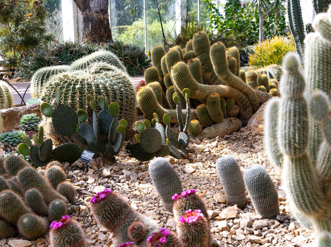 RHS Garden Wisley-Wisley必去景点