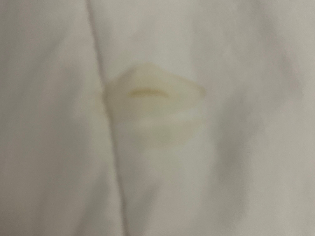 Pear Tree Inn Cape Girardeau Near the Medical Center主图