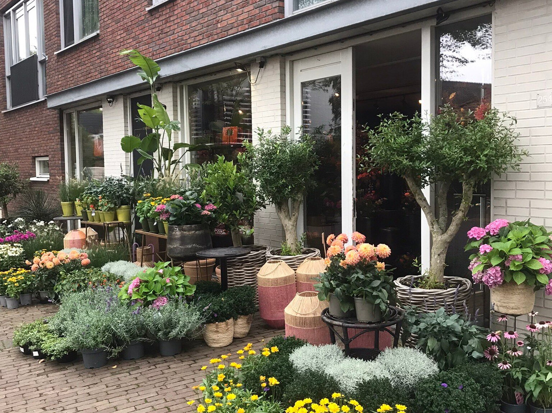 Bloemenhuis Monique-Heiloo必去景点