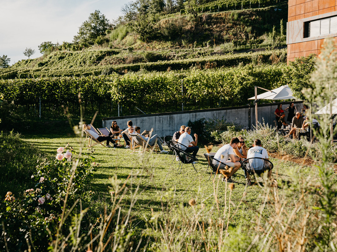 Weingut Abril-Vogtsburg im Kaiserstuhl必去景点