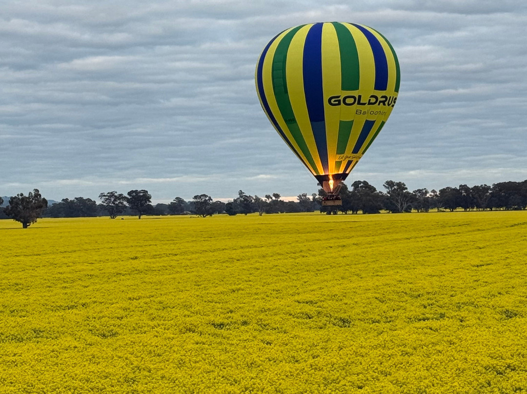 Goldrush Ballooning King Valley-King Valley必去景点