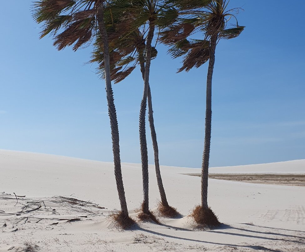 Lagoa das Americas-Santo Amaro do Maranhao必去景点
