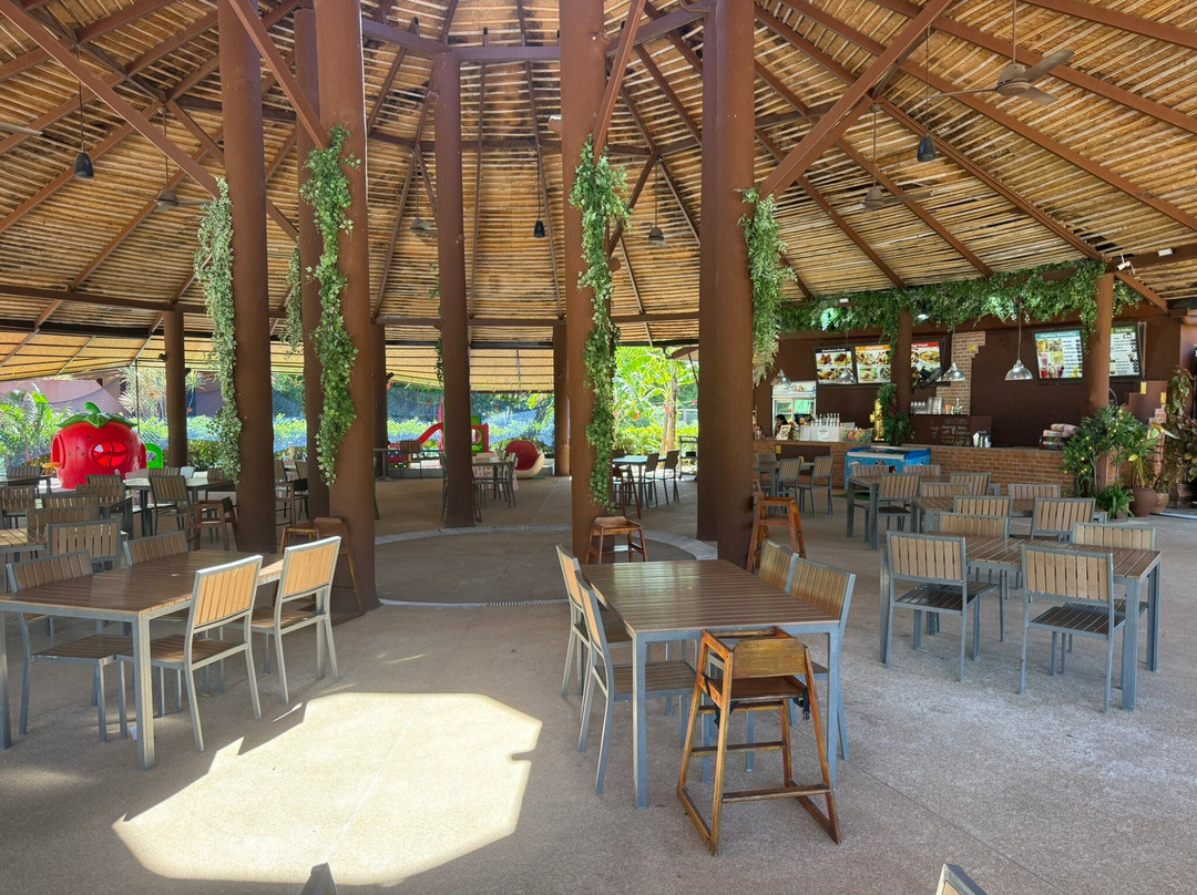 粉象水上世界-湄南必去景点