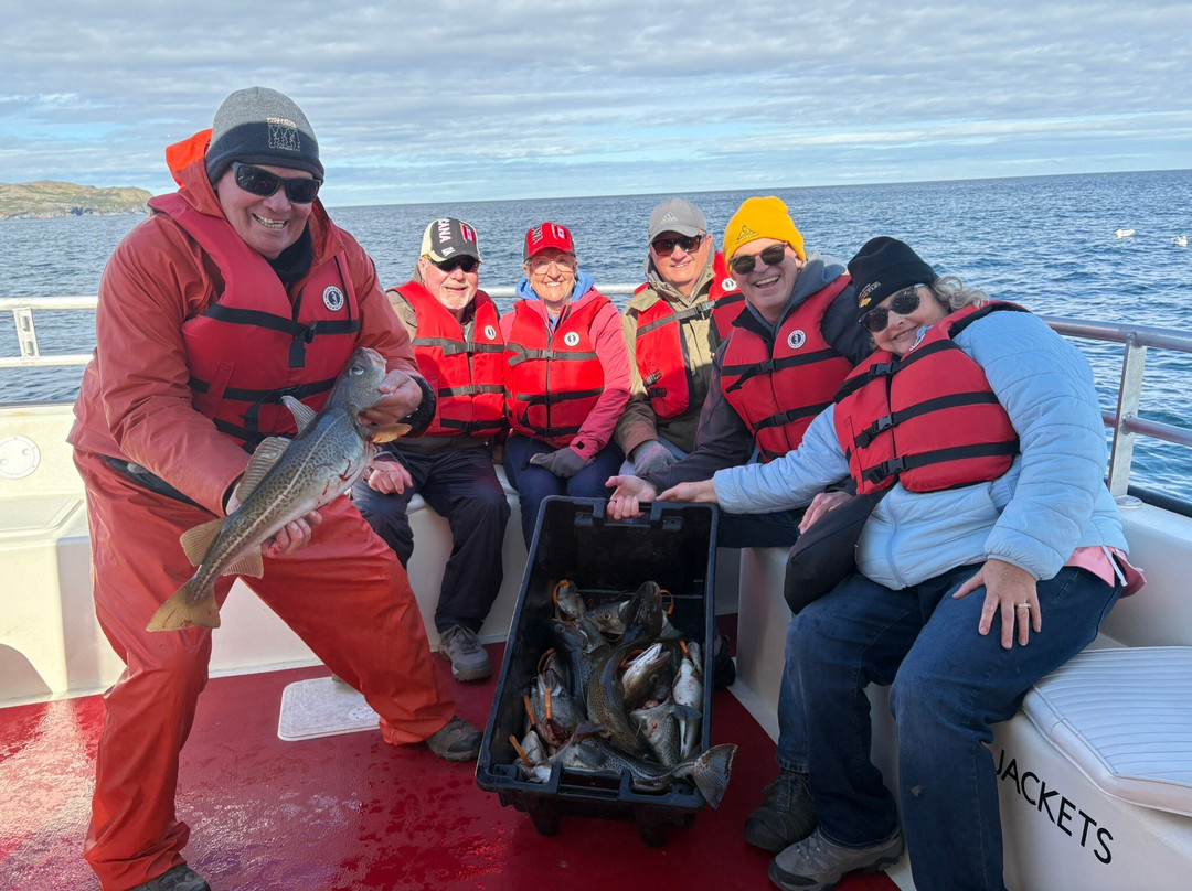 Daily Catch Ocean Tours-St Lunaire-Griquet必去景点