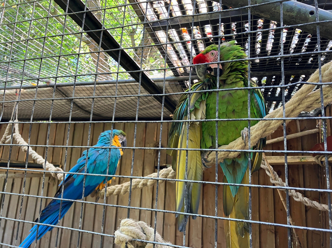 Call Of The Wild Zoo-South Woodham Ferrers必去景点