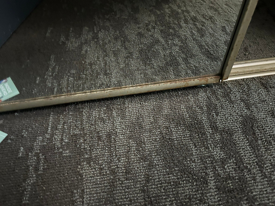 普林斯顿假日酒店主图