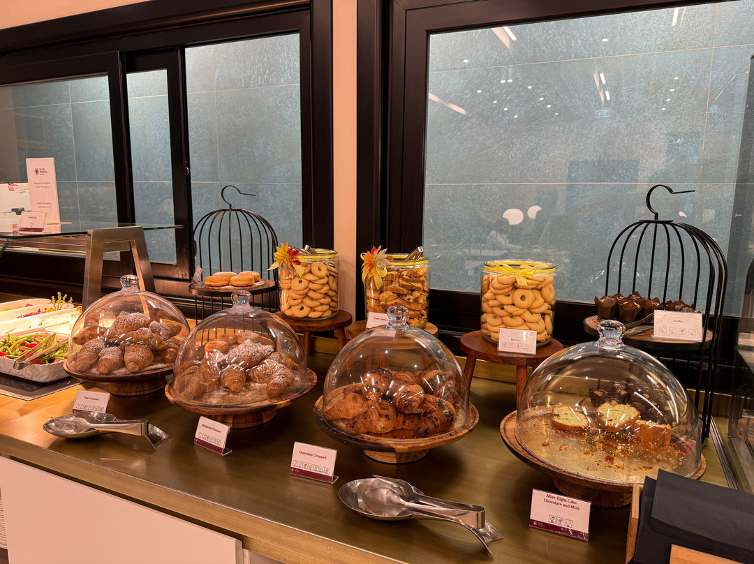 Plaza Premium Lounge (Schengen Area Departures Terminal 1)-菲乌米奇诺必去景点