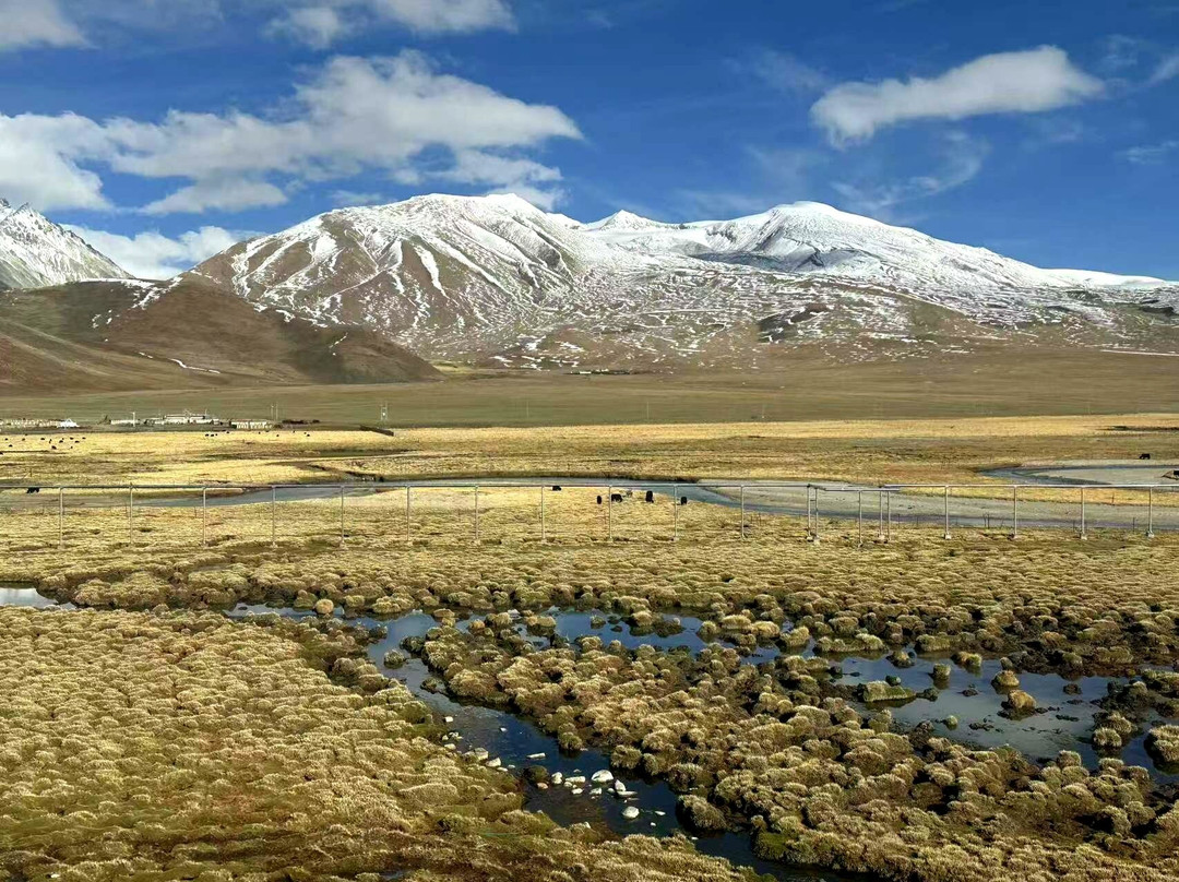 Journey To Xizang-西宁市必去景点