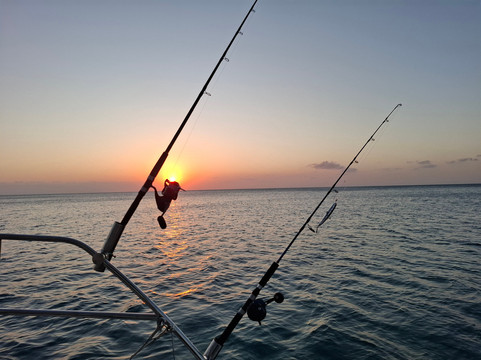 Fraser Island Boat Charters-赫维湾必去景点