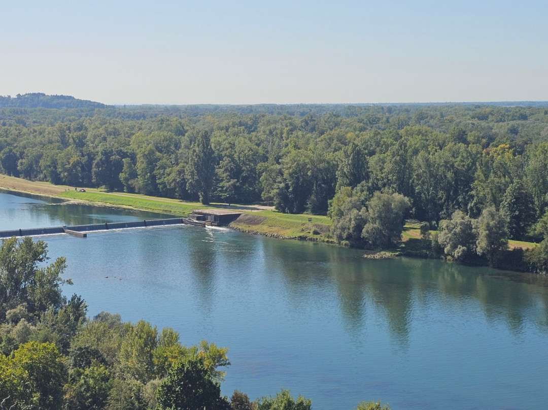 Breisacher Fahrradverleih-Breisach am Rhein必去景点